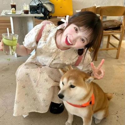 精灵古比